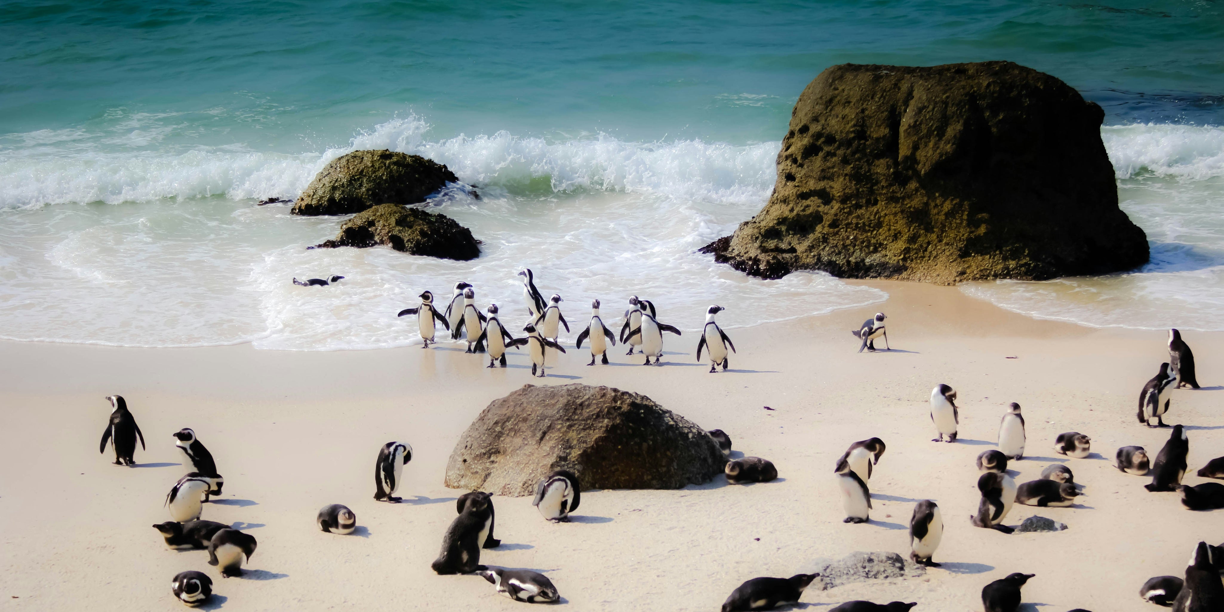 Best Places To Travel In January for Warm Weather