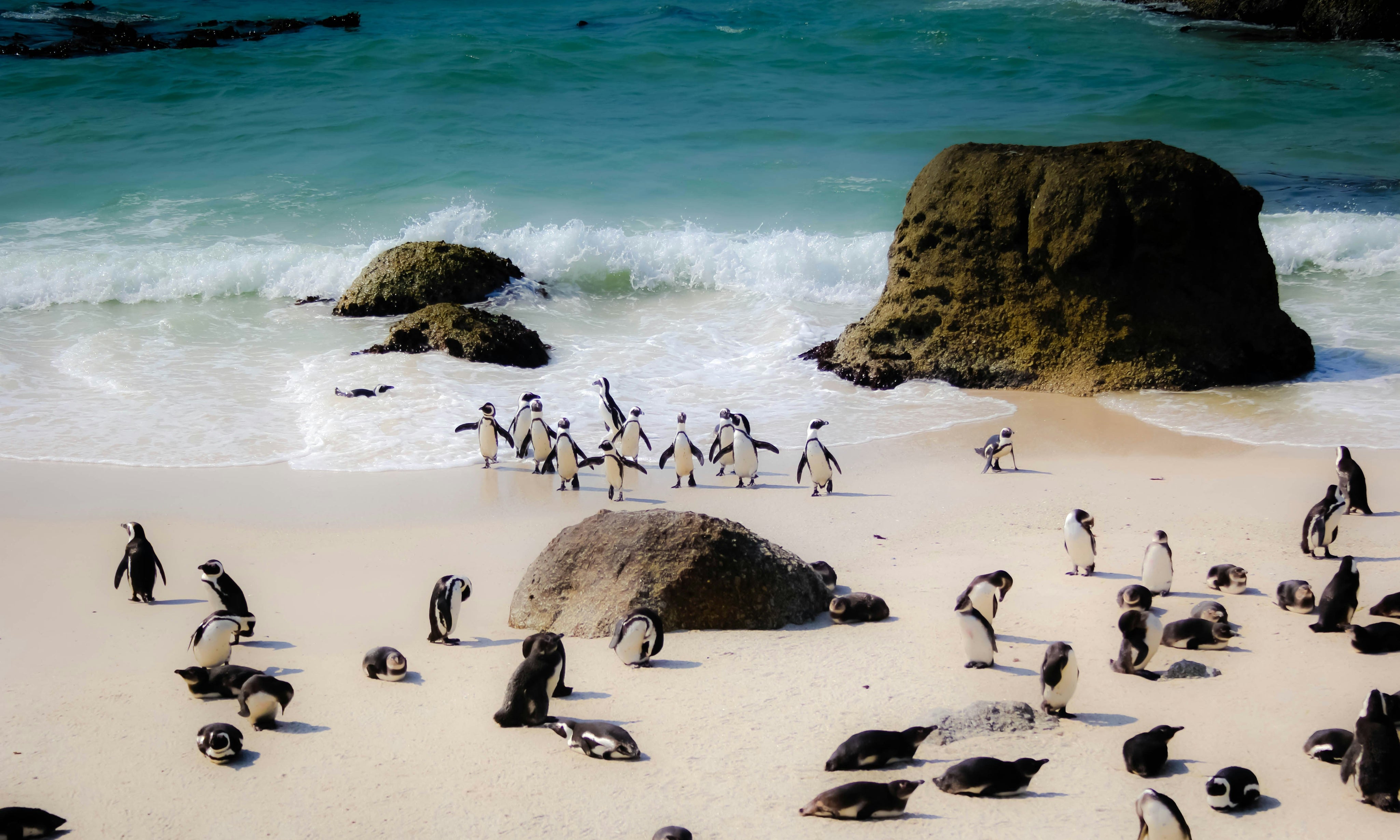 Best Places To Travel In January for Warm Weather