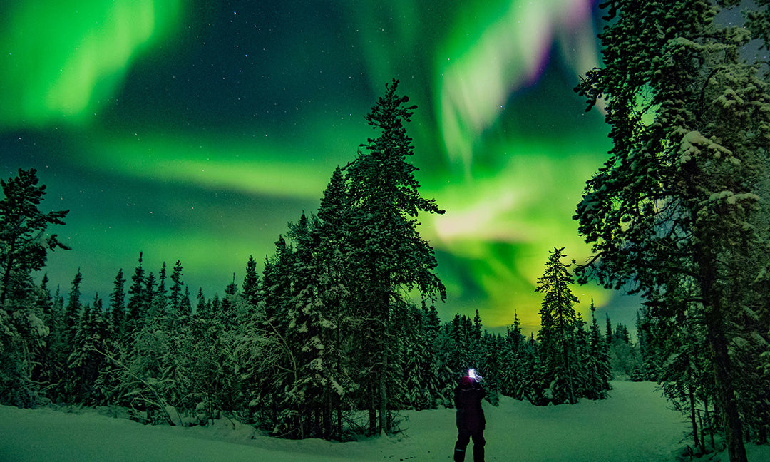 7 Wonders of The Natural World
