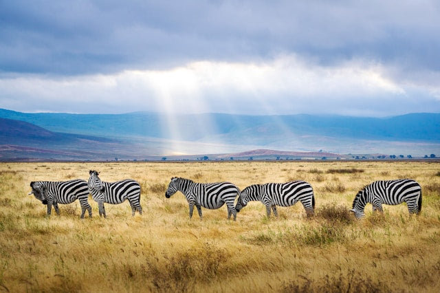 5. Tanzania, Africa